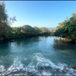 2025-五分港溪秋之⼤地藝術祭-欣賞臺北市最美河川