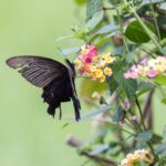 天成飯店花蓮雙星登場　城堡-×-森林打造最強秋冬雙湯奢旅