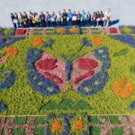 2025埔里花卉展暨南投花卉嘉年華　11/22盛大登場！