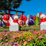 士林官邸菊展最佳賞花期-12-月上旬　攝影與短影音募集同步開跑