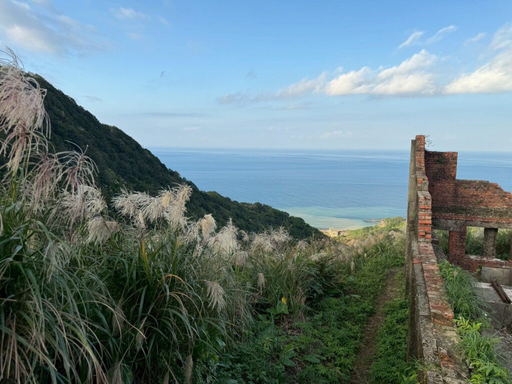 秋冬限定　芒花隨風綻放　新北推賞芒抽好禮