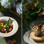 士林官邸菊展開跑！拿票去「青青食尚花園」享-85-折＋免費接駁，一次玩滿花海、美食、森林系拍照點