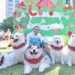 帶毛寶貝同遊新北歡樂耶誕城　-全國首創寵物旅遊路線公布