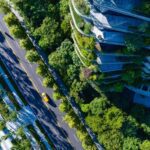 信義商圈楓香有故事　認養人細心呵護打造最美麗風景