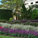 冬季就要暖色系　仁愛圓環周遭爆開火樣花卉