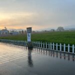 2025新社花海暨台中國際花毯節圓滿落幕　清潔隊2小時內恢復場地環境