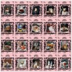 《不在位子上》走讀嘉義市　35場多象限體驗打破城市想像