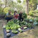 隊部閒置空地成綠意農場　大肚清潔隊攜手社區傳遞健康與愛心