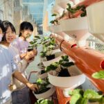 雲林縣推動ai智慧農業　打造智慧農業校園基地