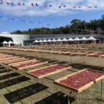 2025第二屆日月潭飲食生活節　12/6於向山遊客中心　盛大登場