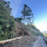 太平山9日起至年底開園調整為8時　宜專路半點放行10分鐘