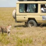 非洲篇震撼登場與獅子-獵豹-鬣狗比鄰而居-大草原景色激動落淚