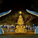 台中海線冬季賞燈必遊！　-沙鹿嘉年華12/13璀璨登場-民政局長：打造冬季浪漫光影盛宴