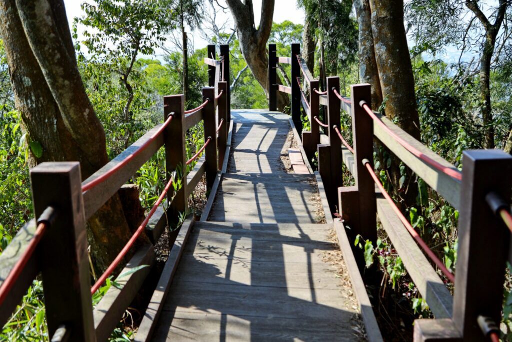 中市全力推動登山步道災害復建工程 部分步道實施封閉措施