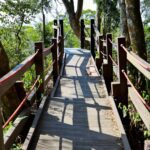 中市全力推動登山步道災害復建工程　部分步道實施封閉措施