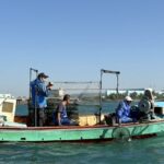 海洋局、海巡署海域聯合巡查　養護水產資源、海洋永續