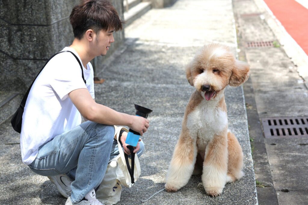 愛牠就別讓牠隨「便」　基隆環保局：狗便不清最高罰6千元