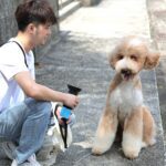 愛牠就別讓牠隨「便」 基隆環保局:狗便不清最高罰6千元