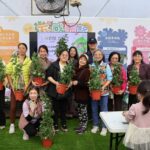 士林官邸菊展倒數 45萬人次參觀 展後200盆花12/17免費認養