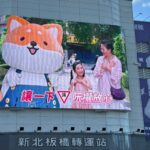 新北市推動「生活式交通安全宣導」　侯友宜：讓交安觀念融入市民生活