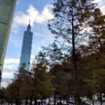 五彩燈飾高高掛　北市信義商圈林蔭濃濃節慶感