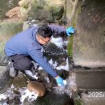 暖暖溪赫見白色泡沫　環保局急布攔油索避免污染物逸散