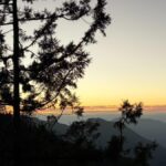 迎2026年的第一份禮物　太平山遊樂區元旦贈紀念書籤