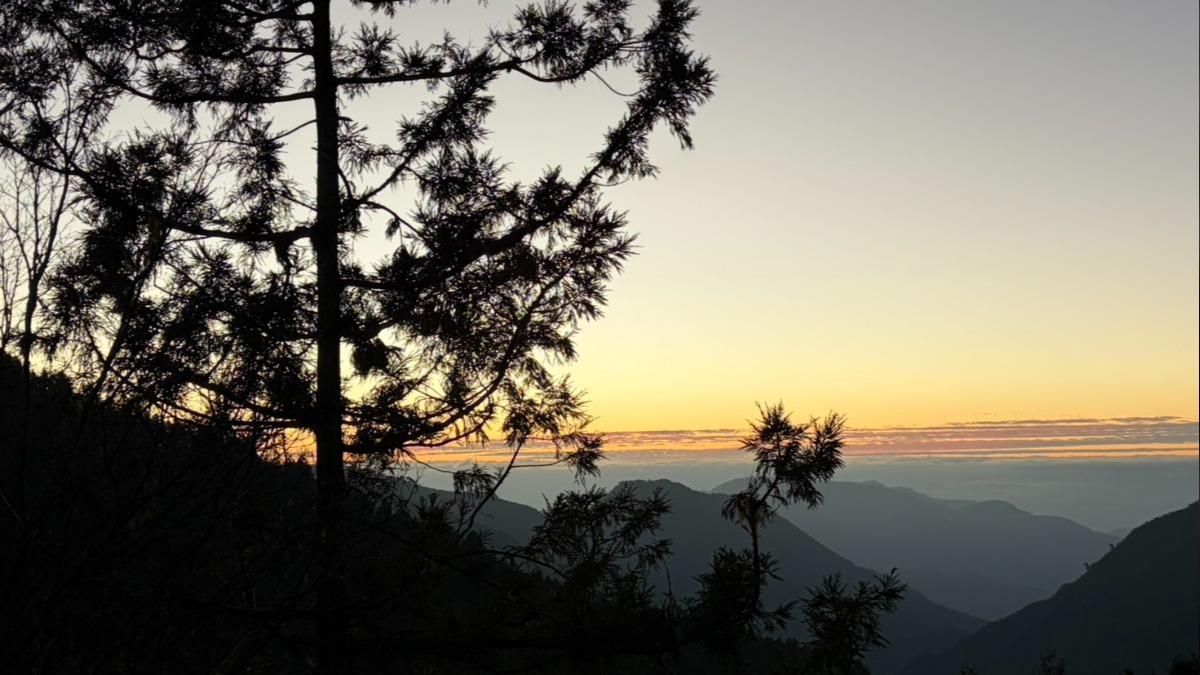 迎2026年的第一份禮物　太平山遊樂區元旦贈紀念書籤