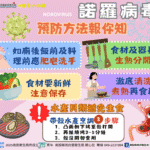 生食風險大！南投縣衛生局　呼籲冬季慎防諾羅病毒