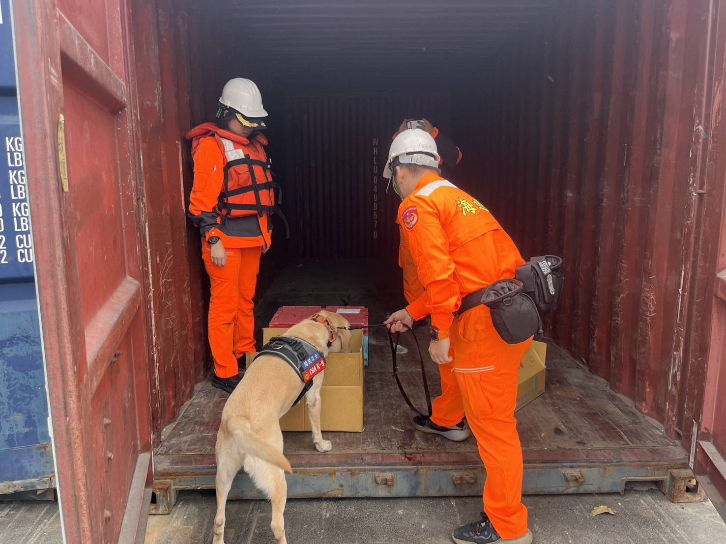 年終歲末貨運湧現　海巡署科技查緝嚴守食安防線