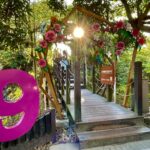 走進山林讀愛情！　大坑9號、9-1號步道打造聖誕限定「愛戀步道」