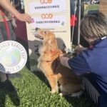臺北市動物保護3年有成　動物友善服務再升級