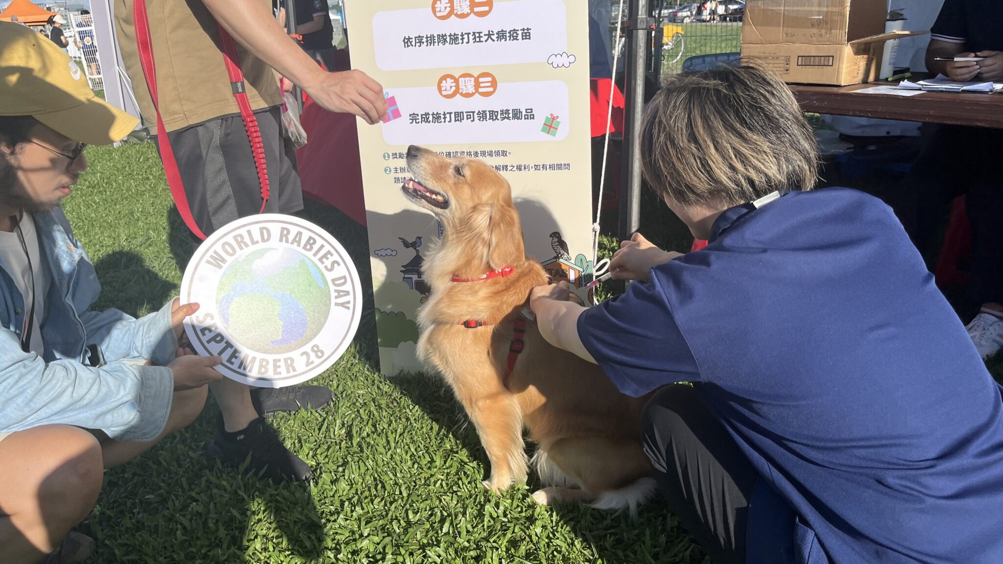 臺北市動物保護3年有成　動物友善服務再升級