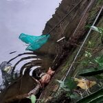 小橘貓受困排水溝失溫險死　新北動保處救援治療　幸運找到認養家庭