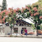 中市文化建設再傳捷報！　清水眷村診療所及中區蔡內科老屋再生　雙獲2025都市設計空間大獎肯定