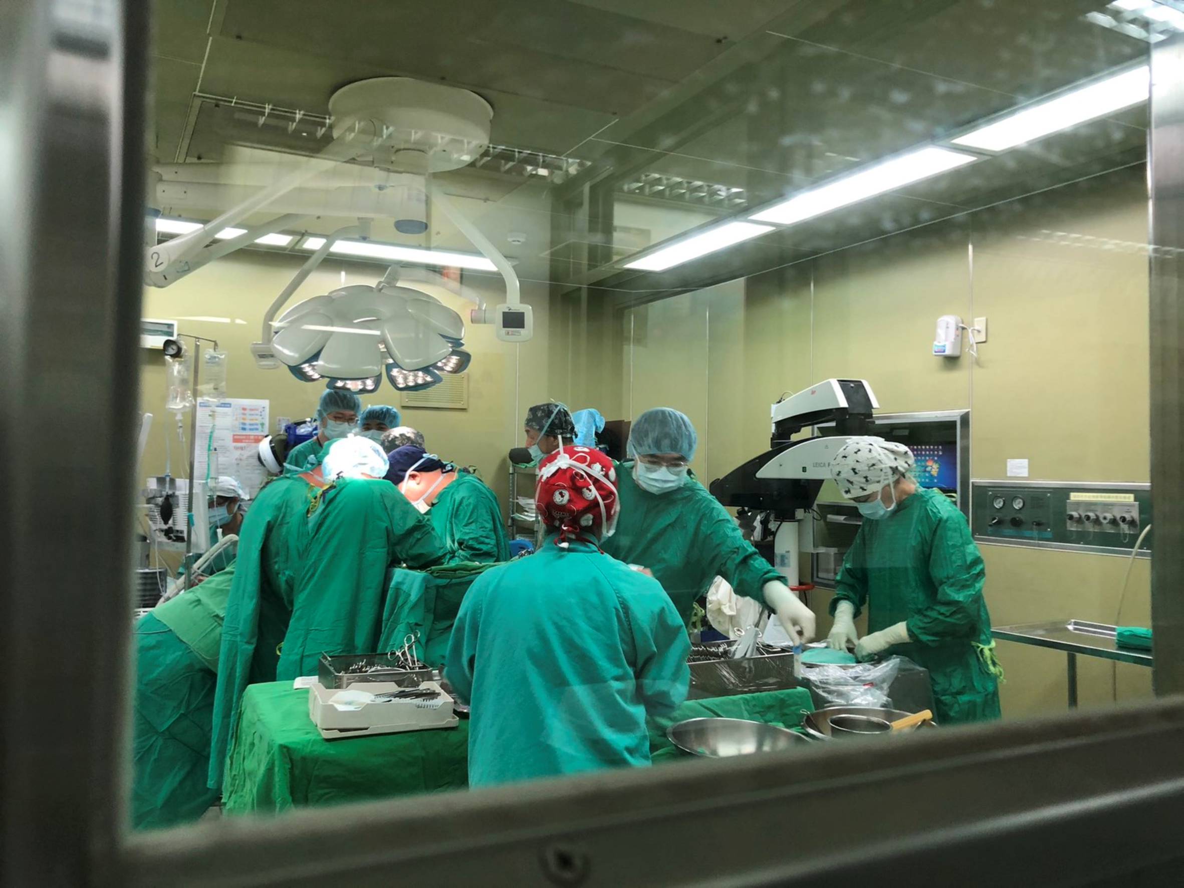 器官捐贈化哀傷為希望　嘉基：超過40名病患將受惠