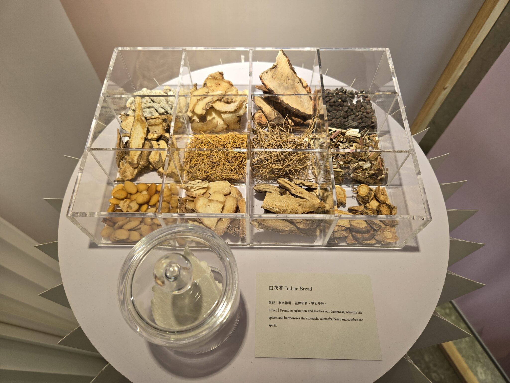 另類「美」展！　中市立夫中醫藥博物館特展-發掘中醫藥美顏智慧