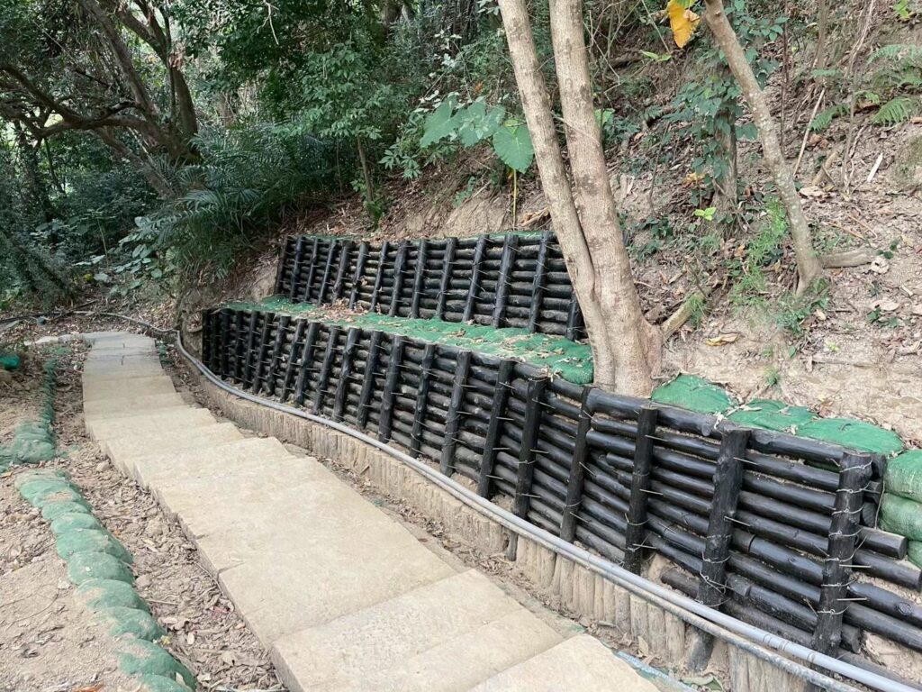 市府加速搶修大坑步道　6、7號步道今日提前開放　2、5號步道拚2月底通行