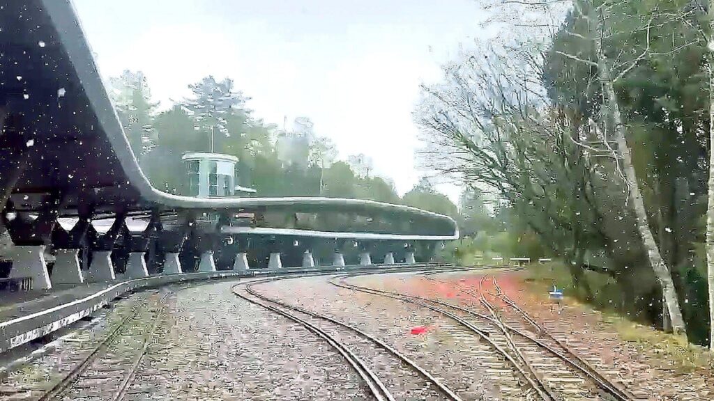 初雪灑落阿里山　罕見月光雲海美景浪漫登場　入住指定房型享8折優惠