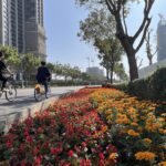 2026新年走春好去處！台中道路、公園繽紛蒔花妝點城市景觀