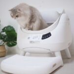 catlink -open-x-翻滾喵 -「精準預防」智慧照護愛貓超有感