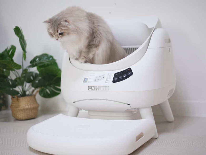 catlink -open-x-翻滾喵 -「精準預防」智慧照護愛貓超有感