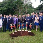 陳洋淵捐贈140棵富士櫻　期淡江校花綻風華