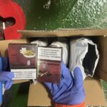 汪汪隊立大功　海巡偵搜犬「huston」嗅出郵包電子煙彈