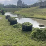 防洪升級　大溝溪生態治水園區完成清疏