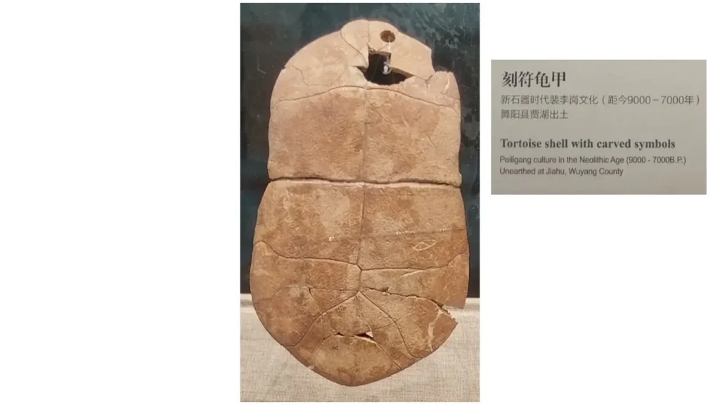 文字會變，文化不變；每一個時代文字的形體變化/《國學專欄》岸先生說文字（八）