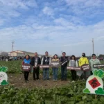 梧棲「57蘿蔔日」熱鬧登場　農趣拔蘿蔔迎新年、體驗在地農業文化