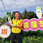 拔得新年好彩頭　竹山鎮親子拔蘿蔔體驗　寓教於樂