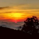 海拔2274米的療癒假期　入住阿里山賓館　獨享日出雲海與千年森林