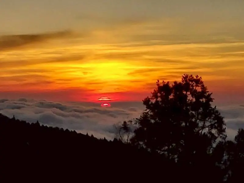 海拔2274米的療癒假期　入住阿里山賓館　獨享日出雲海與千年森林